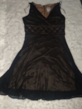 Black Sleeveless V-Neck Skin Tone Sheer Overlay Dress